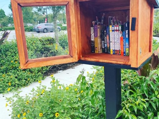 Little Free Libraries within Wiregrass Ranch Celebrates Literacy and Community!